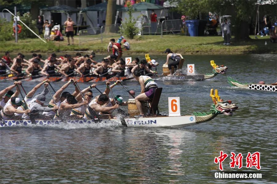 加拿大多伦多龙舟赛。<a target='_blank' href='/'>中新社</a>记者 余瑞冬 摄