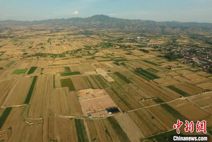 陶寺北墓地全貌(自西向东) 山西省考古研究院供图 陶寺北墓地全貌(自西向东) 山西省考古研究院供图