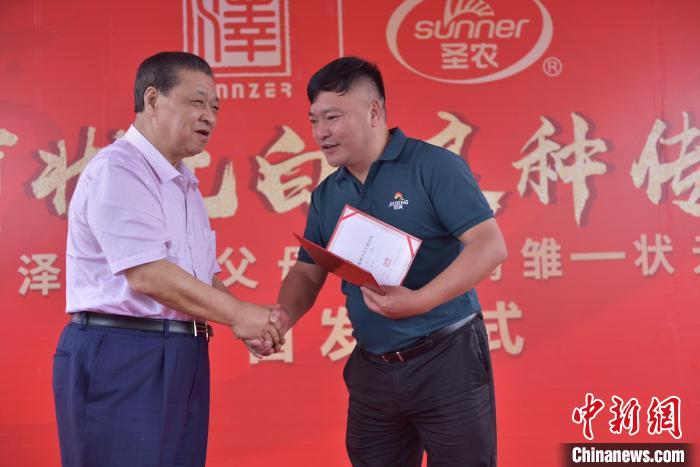 6月10日,圣农集团董事长傅光明为河北玖兴农牧发展有限公司等多家养殖企业颁发引种证明。 张丽君 摄 6月10日,圣农集团董事长傅光明为河北玖兴农牧发展有限公司等多家养殖企业颁发引种证明。 张丽君 摄