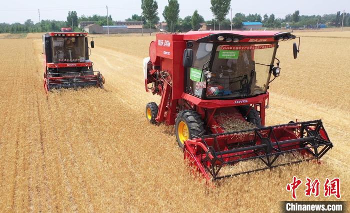 图为参赛农机手正在进行收割作业。 倪志浩 摄 图为参赛农机手正在进行收割作业。 倪志浩 摄