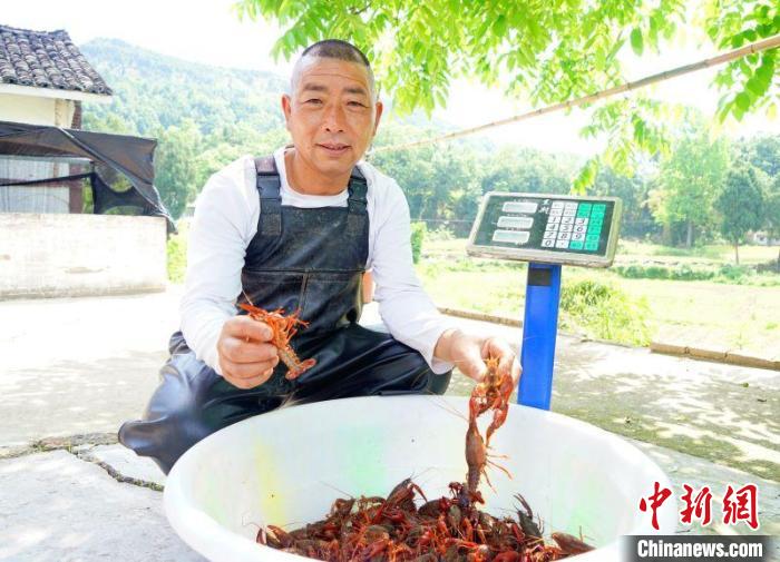 庞肖和挑选小龙虾。 衡欢 摄 庞肖和挑选小龙虾。 衡欢 摄