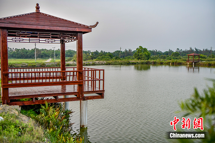 图为4月14日拍摄的加美村旅游设施垂钓台。 <a target='_blank' href='/'>中新社</a>记者 骆云飞 摄