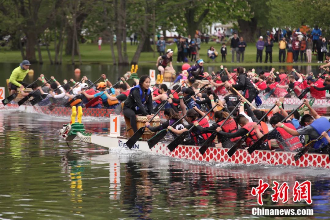 参赛选手在多伦多国际龙舟节上竞渡。<a target='_blank' href='/'>中新社</a>记者 余瑞冬 摄

