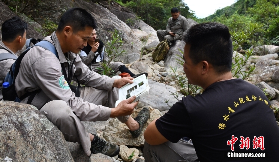 图为在巡护休息时间，护林员对照书籍交流鹦哥岭鸟类知识。 <a target='_blank' href='/'>中新社</a>记者 尹海明 摄