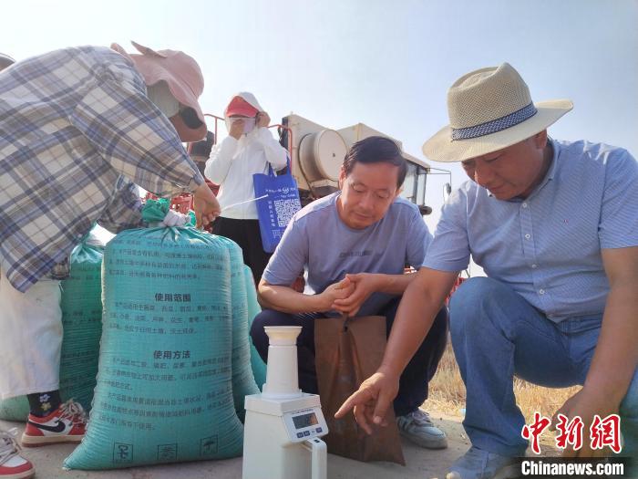 图为“土里捂”小麦测产小组专家正在测量小麦含水量。　王喜民 摄