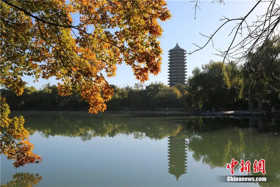 未名湖秋景。<a target='_blank' href='/'>中新社</a>发 刘宪国 摄