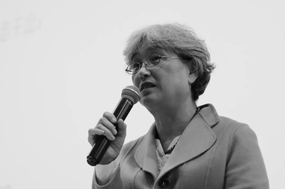 段睛参加学术活动。图片来源：北京大学人文社会科学研究院官网