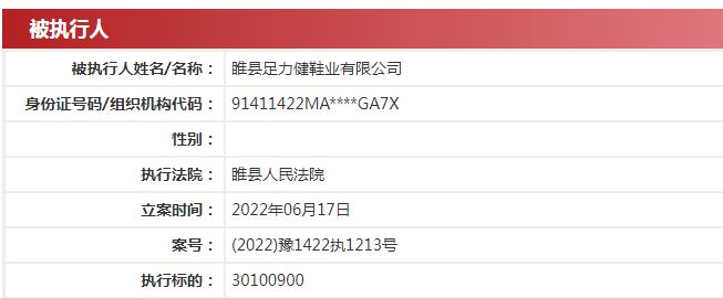 中国执行信息公开网信息截图。
