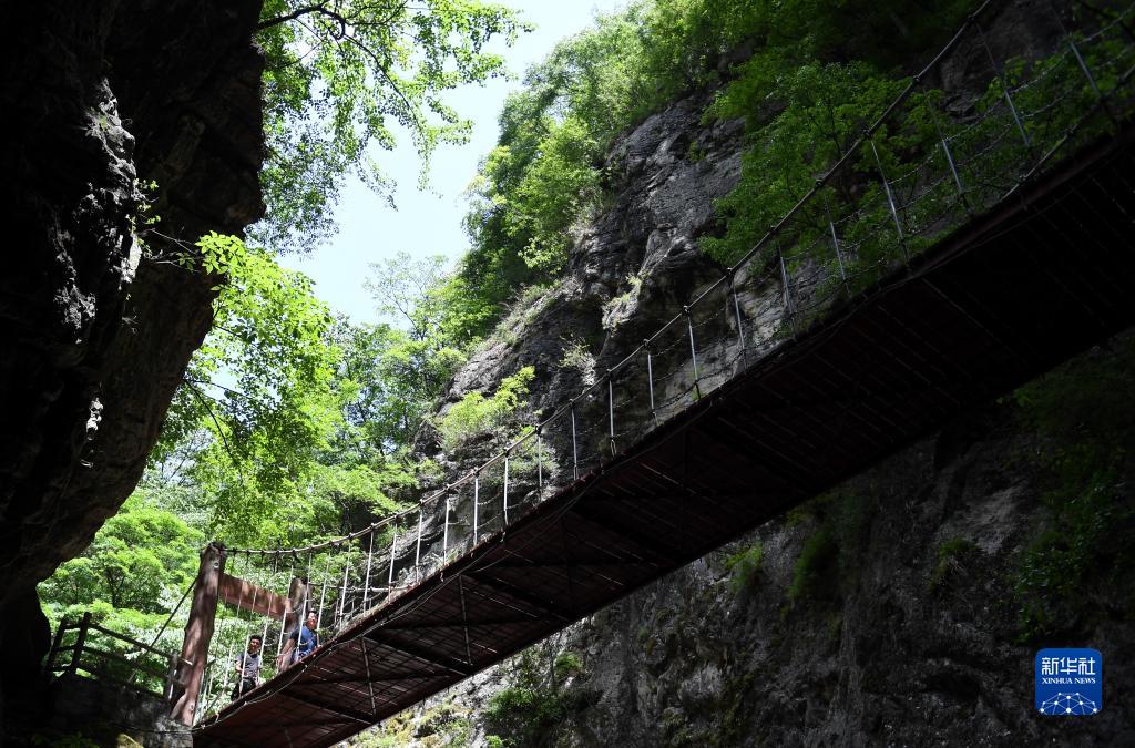 5月30日,游客在位于陕西省柞水县的牛背梁国家森林公园内游玩。 新华社记者 李一博 摄 5月30日,游客在位于陕西省柞水县的牛背梁国家森林公园内游玩。 新华社记者 李一博 摄