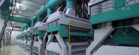 今年夏粮旺季收购量预计将达1300亿斤!从田间到餐桌 小麦一路上会有哪些经历?