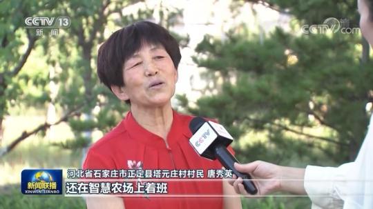 【走进县城看发展】河北正定：古今交融气象新