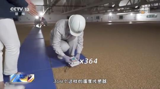 今年夏粮旺季收购量预计将达1300亿斤!从田间到餐桌 小麦一路上会有哪些经历?