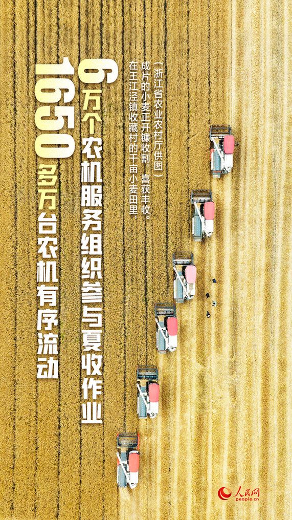 大国“粮”策|夏粮丰收有“数” 政策支持有“方”