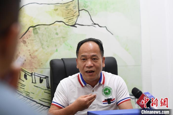 杨伟根接受<a target='_blank' href='/' >中新网</a>记者专访。 陈楚红 摄 杨伟根接受<a target='_blank' href='/' >中新网</a>记者专访。 陈楚红 摄