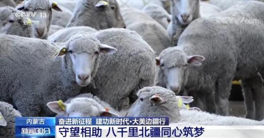 【奋进新征程 建功新时代大美边疆行】守望相助 八千里北疆同心筑梦