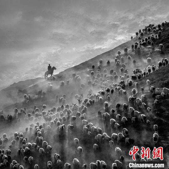 图为焦生福的作品《大风起兮牧羊归》。 焦生福 摄 图为焦生福的作品《大风起兮牧羊归》。 焦生福 摄
