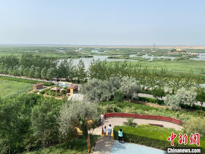 沙湖景区。 杨迪 摄 沙湖景区。 杨迪 摄