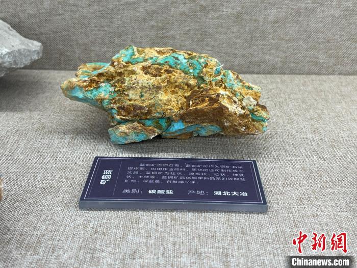 图为合肥工业大学地质博物馆展品“蓝铜矿”。 储玮玮 摄 图为合肥工业大学地质博物馆展品“蓝铜矿”。 储玮玮 摄