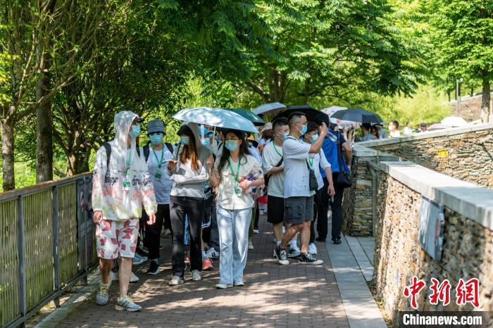 两岸学子正在卧龙中华大熊猫苑参观。　刘忠俊 摄