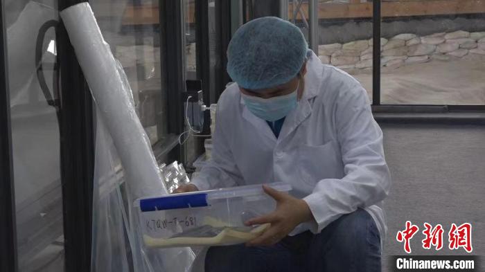 工作中的冉宏林。　何美锟 摄