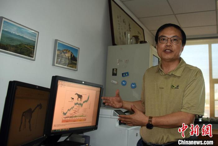 邓涛研究员科普解读巨犀演化最新研究成果。　<a target='_blank' href='/' >中新网</a>记者 孙自法 摄