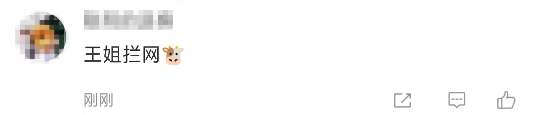 图片来源：网友评论截图